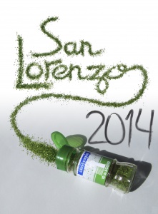 Portada Altoaragón - San Lorenzo 2014