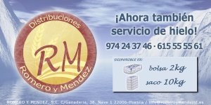 Flayer promoción de hielo